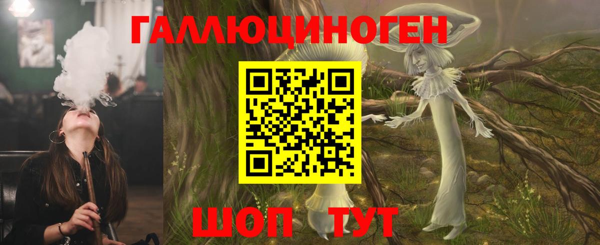 даркнет сайт  Псилоцибиновые грибы мицелий  Вход с VPN  Губаха 